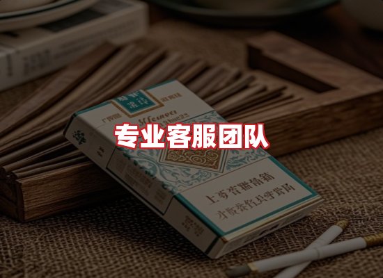 专业团队